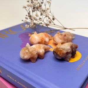 Feuerquarz Axolotl – Wandlung mit Leichtigkeit