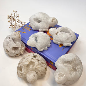 Bergkristall Cluster Schildkröte – Lichtträgerin der Ewigkeit