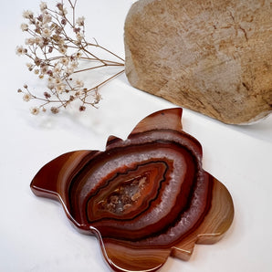 Karneol Schmetterling – Lebenskraft & Wandlung mit Flügeln aus Feuer