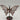 Achat - Schmetterling AE
