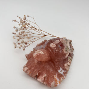 Kirschblüten Achat - Schildkröte 1