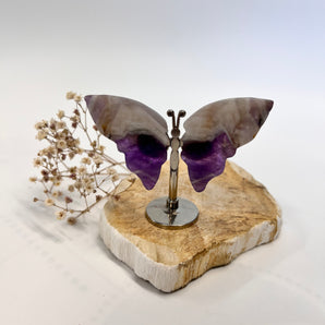 Amethyst Schmetterling – Wandlung in Licht & Leichtigkeit