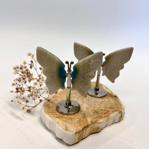 Trolleit Schmetterling – dein Seelenflügel für Intuition, Transformation & inneren Frieden