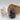 Amethyst Cluster – Ruhepol & Lichtquelle deiner Seele