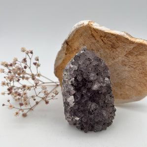Amethyst Cluster – Ruhepol & Lichtquelle deiner Seele