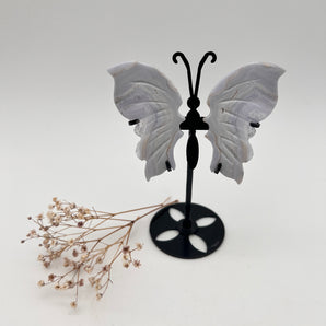 Blue Lace Achat - Schmetterling