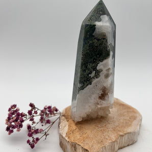 Moosachat Turm – Naturverbindung, innere Ruhe & Wachstum