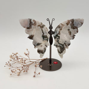 Moosachat / Baumachat - Schmetterling