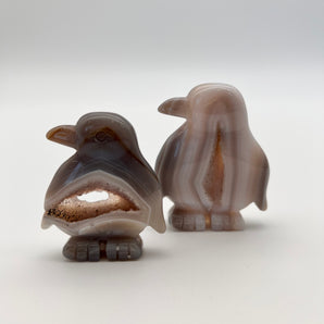 Achat - Pinguin