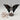 Ocean Jaspis Schmetterling – Wandel & innere Balance