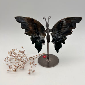 Moosachat / Baumachat - Schmetterling