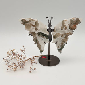 Moosachat / Baumachat - Schmetterling