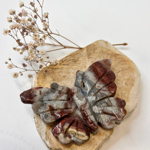 Mexican Lace Achat Schmetterling – Wandlung & Erdung mit Anmut