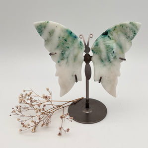 Phoenix Stone - Schmetterling