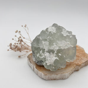 Fluorit Rohstück – Klarheit & Ordnung auf Zellebene