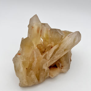 Citrin Rohstein Cluster – Manifestationskraft pur