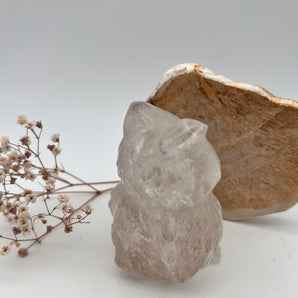 Bergkristall Eule – Weisheit im Licht