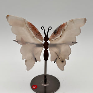 Achat - Schmetterling U