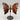 Crazy Lace Achat - Schmetterling AB