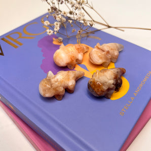 Feuerquarz Axolotl – Wandlung mit Leichtigkeit