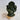 Ganesha aus Grüner Jade – Kraftfigur für Neubeginn & Fülle (15 cm)
