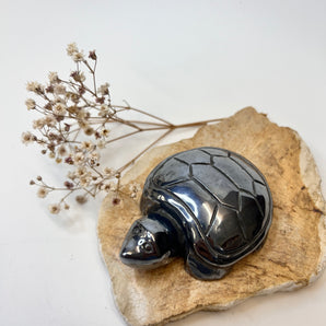 Hämatit Schildkröte – Erdung, Schutz & innere Stärke
