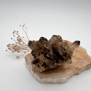 Rauchquarz – Erdender Schutz-Cluster