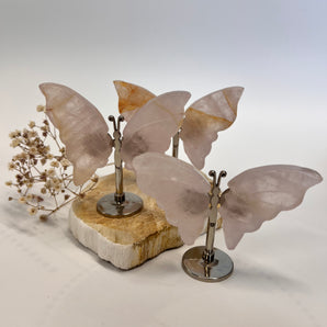 Rosenquarz Schmetterling – dein Herzflügel für Liebe, Sanftmut & Harmonie