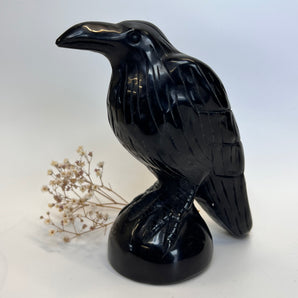 Obsidian Rabe XL – Wächter der Schatten, Hüter des Lichts