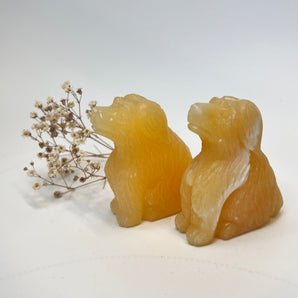 Orangencalcit Hund – Freude, Treue & Sonnenschein