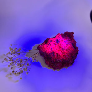 Magie in Pink – Cobalto-Calcit Rohstück