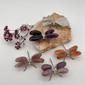 Mystery Libelle – Transformation, Lichtwesen & feinstoffliche Führung