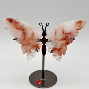 Red Healer - Schmetterling V