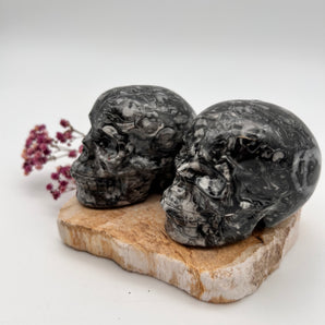 Picasso Jaspis Totenschädel – Weisheit der Ahnen