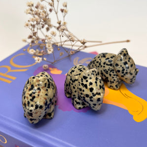 Dalmatinerjaspis Dino – Verspielte Erdung & kindliche Kraft