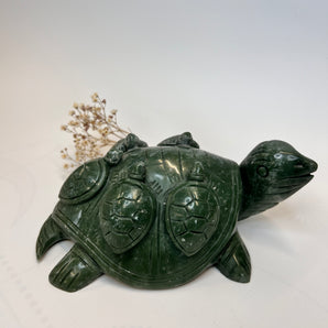 Grüne Jade Schildkrötenfamilie – Geborgenheit, die bleibt