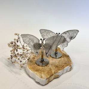 Turmalinquarz Schmetterling – dein Schutzflügel für Klarheit, Transformation & Balance