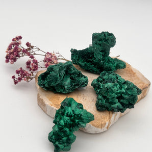 Malachit Rohstück – Transformation, Schutz & Herzensmut