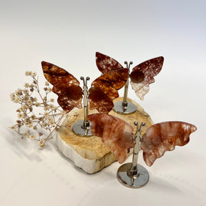 Feuerquarz Schmetterling (Red Healer) – dein Lichtflügel für Lebensfreude, Heilung & Transformation