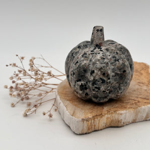 Larvikit Kürbis – Schutz, Transformation & Urkraft