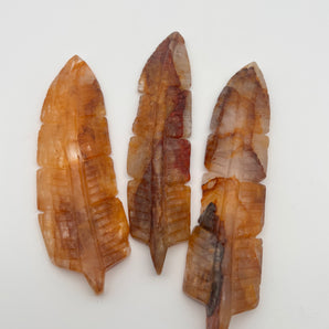 Golden Healer Federn – Heilung, Lichtkraft & spirituelles Wachstum